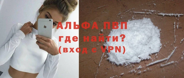 PSILOCYBIN Вязьма