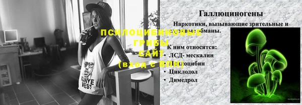 твердый Вяземский