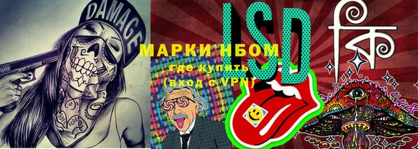 твердый Вяземский