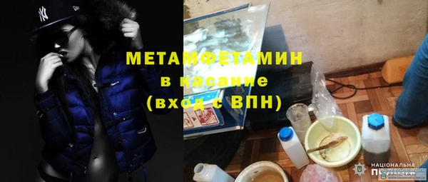 твердый Вяземский