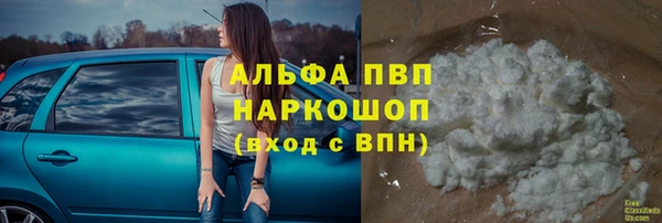 PSILOCYBIN Вязьма